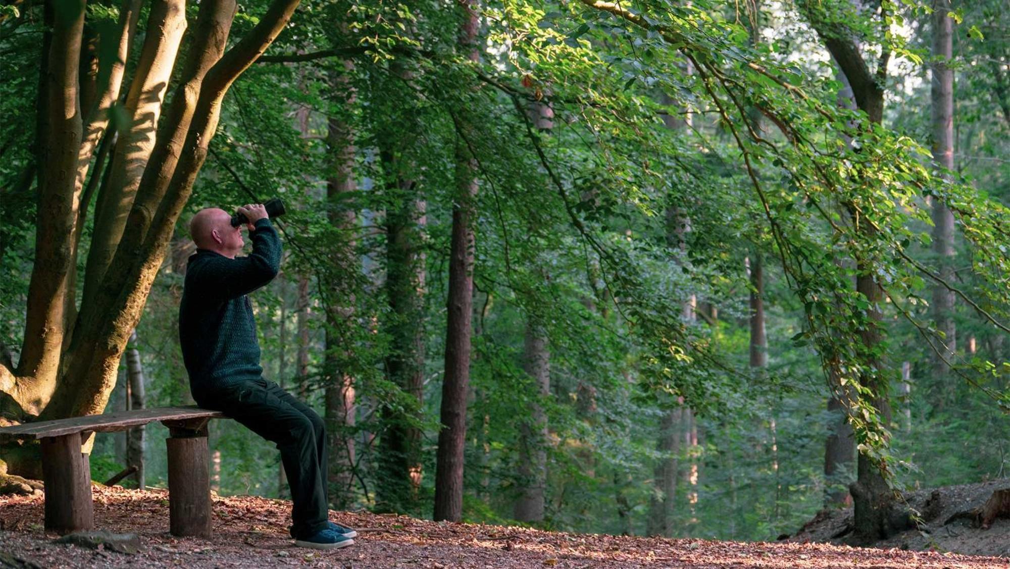 Molecaten Park De Leemkule ハッテム エクステリア 写真