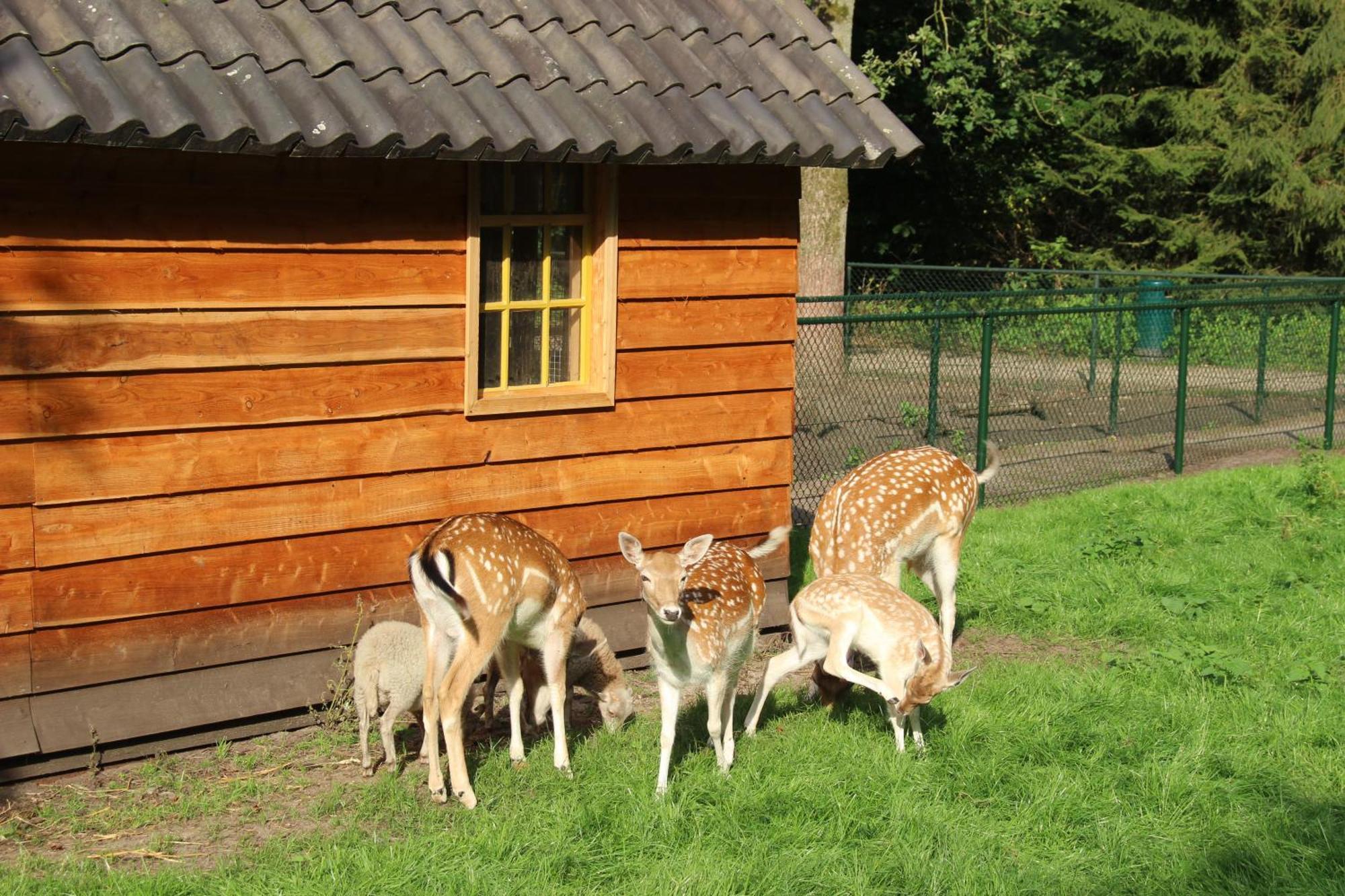 Molecaten Park De Leemkule ハッテム エクステリア 写真