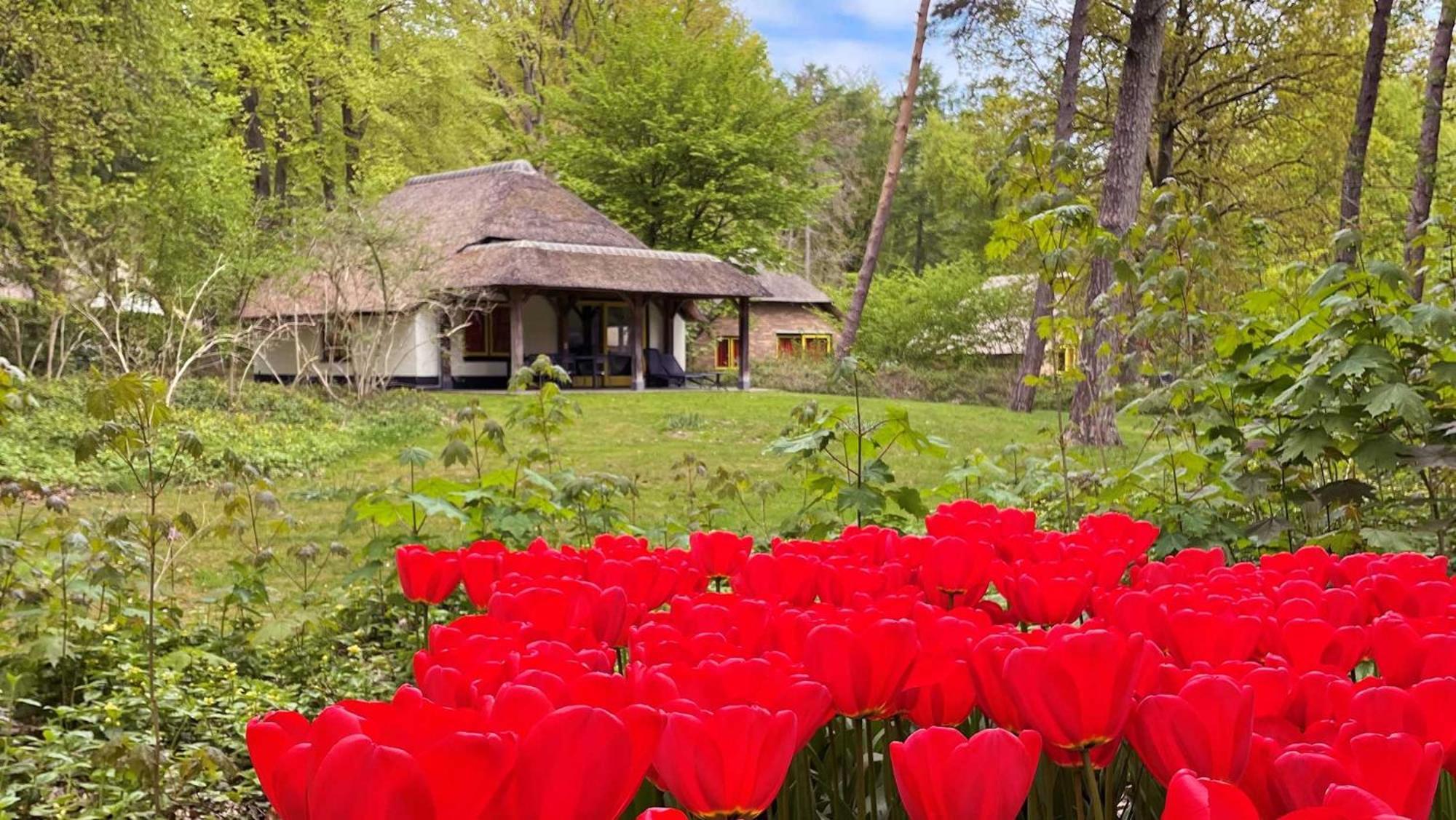 Molecaten Park De Leemkule ハッテム 部屋 写真