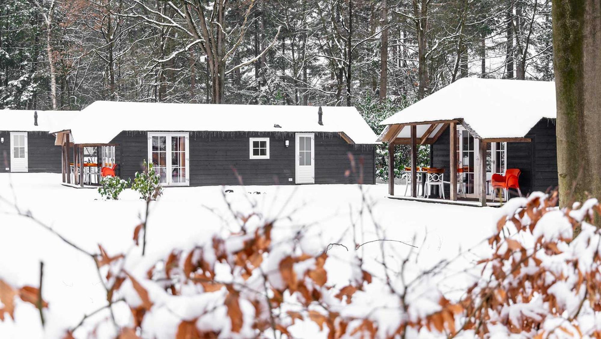 Molecaten Park De Leemkule ハッテム 部屋 写真