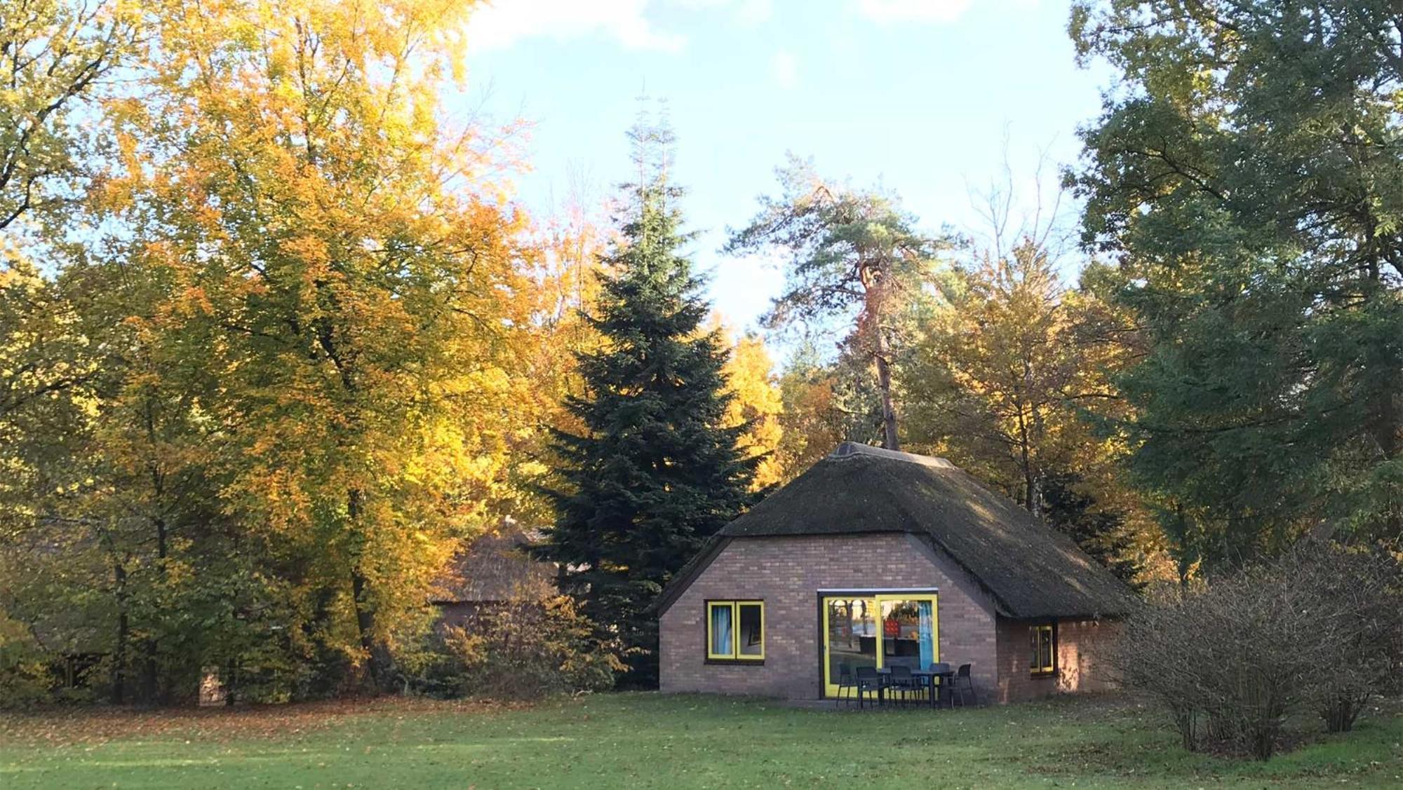 Molecaten Park De Leemkule ハッテム 部屋 写真
