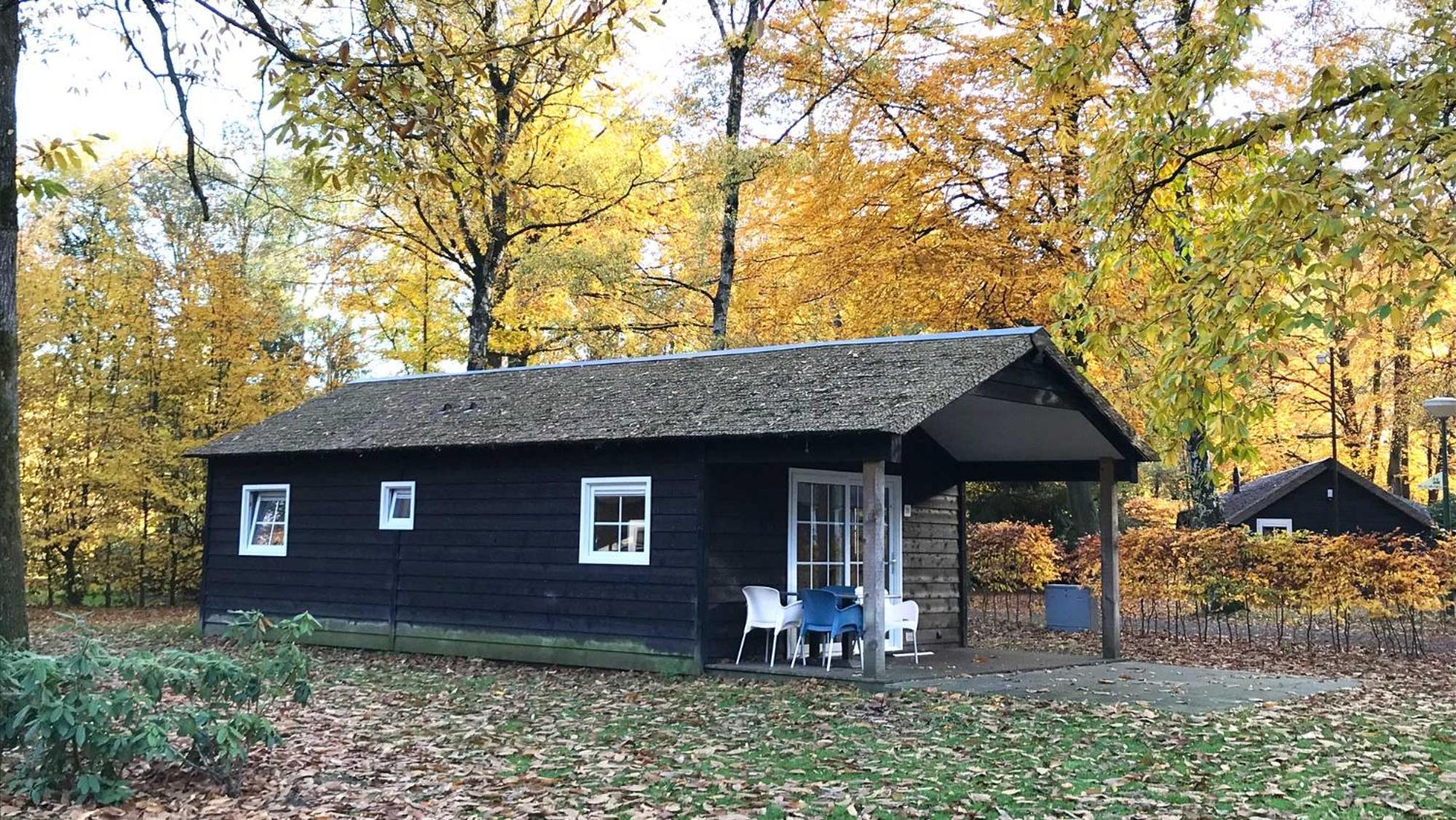 Molecaten Park De Leemkule ハッテム 部屋 写真