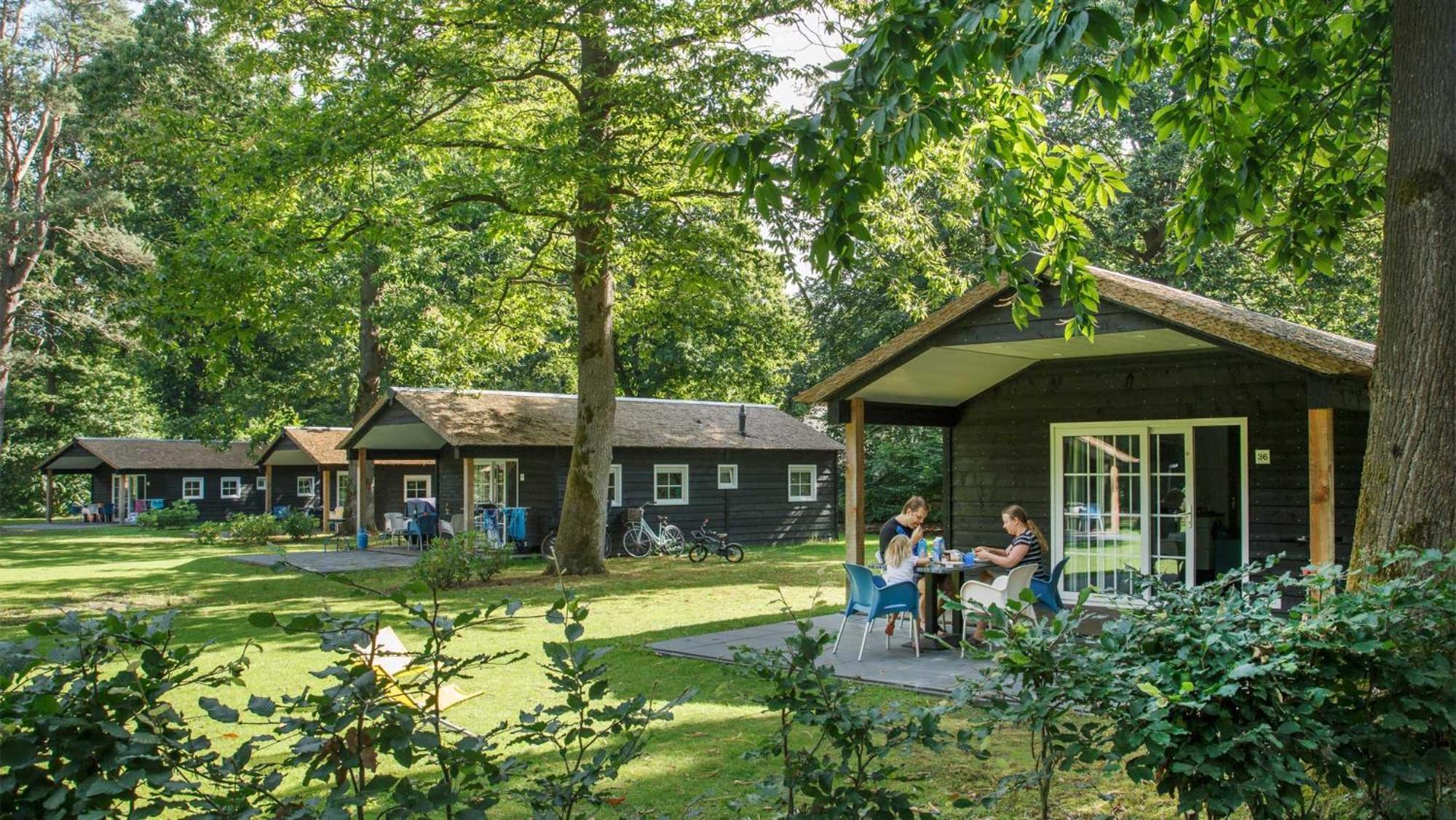 Molecaten Park De Leemkule ハッテム 部屋 写真
