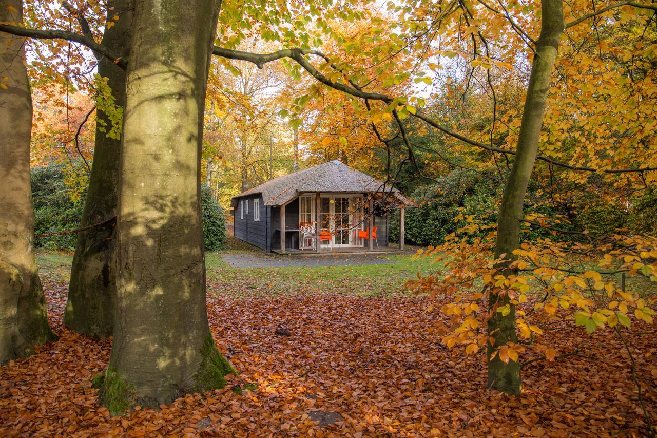Molecaten Park De Leemkule ハッテム エクステリア 写真